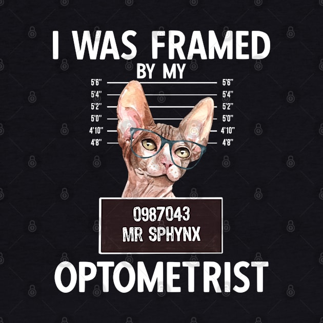 I Was Framed By My Optometrist by Hey Moosey